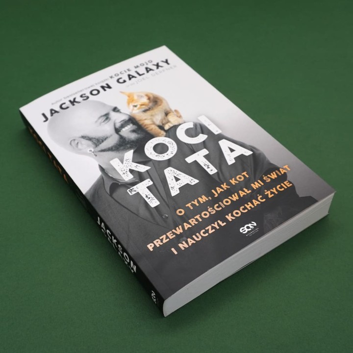 Koci Tata. O tym, jak kot przewartościował mi świat i nauczył kochać życie