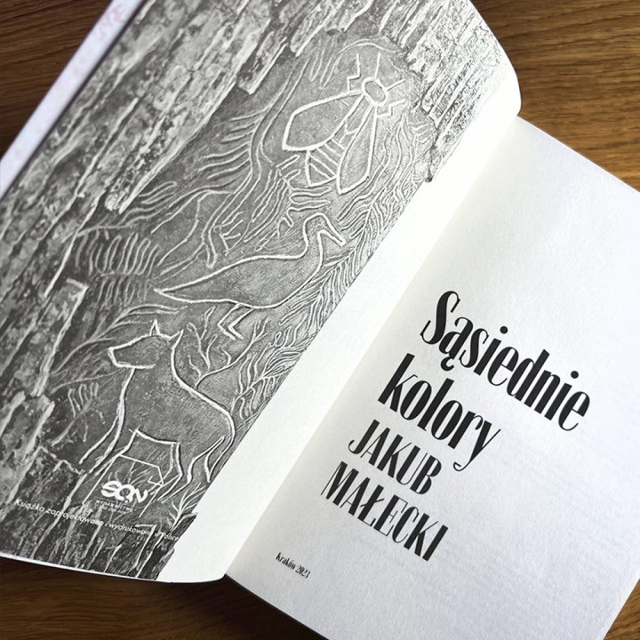 Sąsiednie kolory